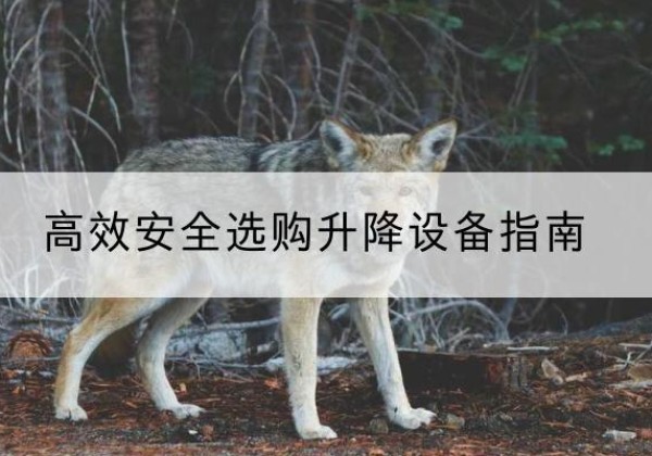 玉泉升降货梯厂家推荐-*安全选购升降设备指南