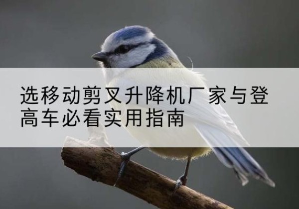 玉泉电动升降机厂家-选移动剪叉升降机厂家与登高车必看实用指南